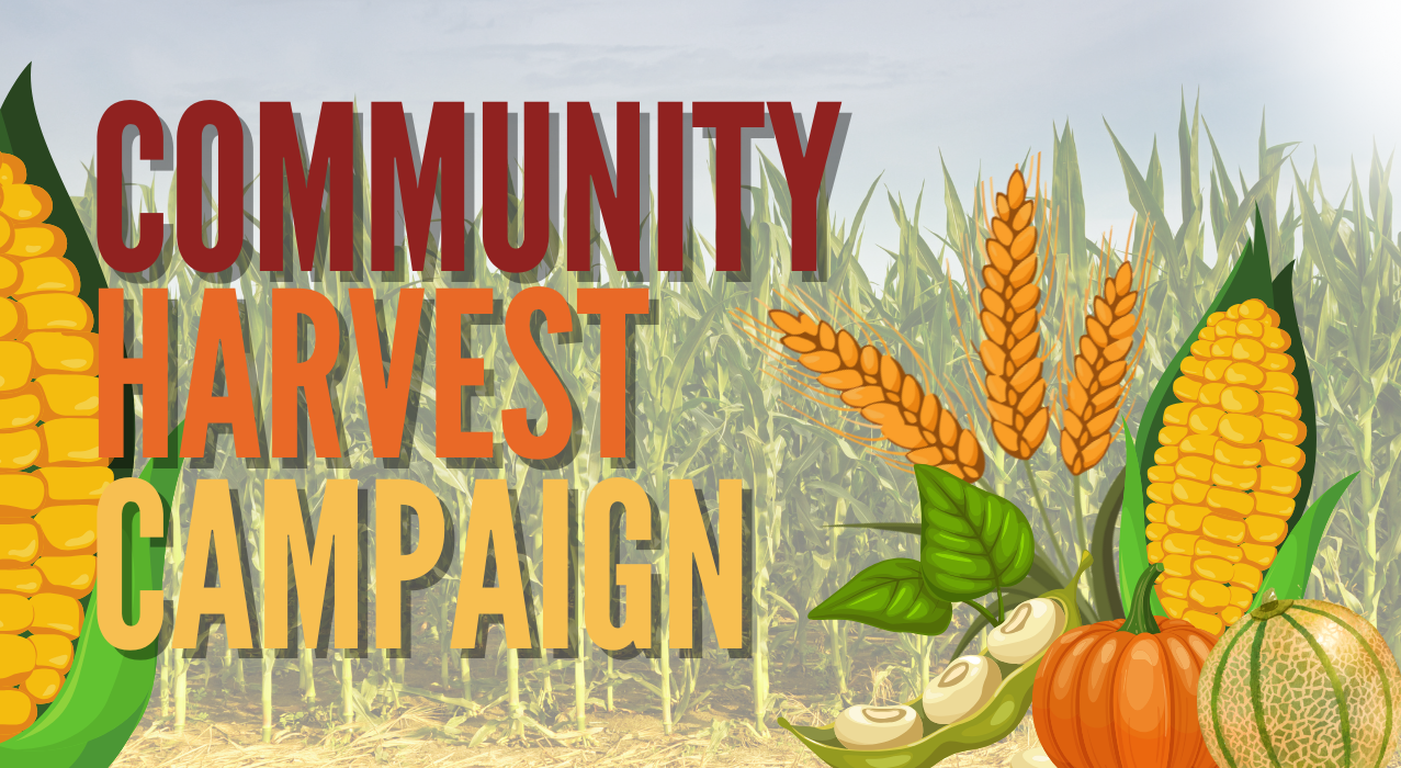 Community Harvest Campaign Graphic with vegetables